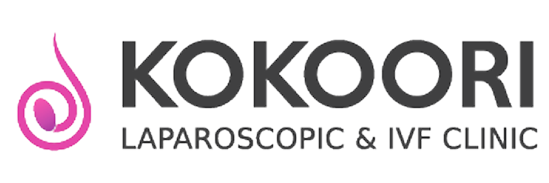 1744343870kokoori.png